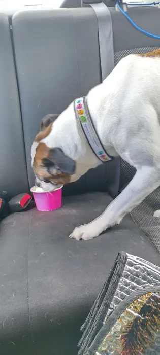 Twist Ice Cream Picture 6