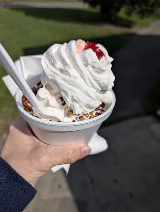 Banana Boat Ice Cream Picture 4