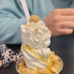 Michelle’s Dairy Freeze