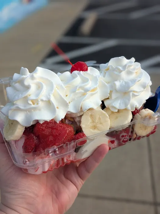 Handel's Homemade Ice Cream Picture 6