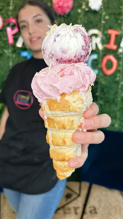 Jalisco Mexican Ice Cream Picture 4