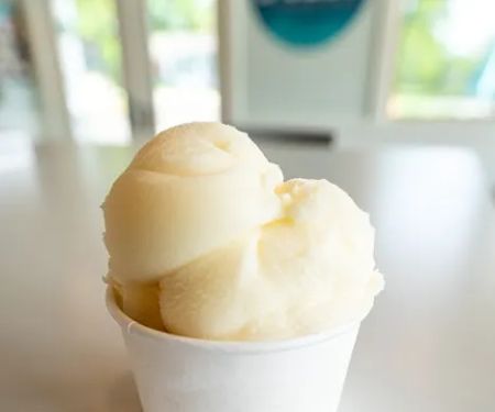 Dell's Homemade Ice Cream