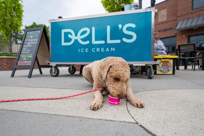 Dell's Homemade Ice Cream Picture 2