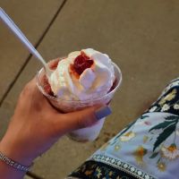 Ritter's Frozen Custard ico