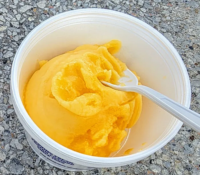 Ritter's Frozen Custard Picture 9