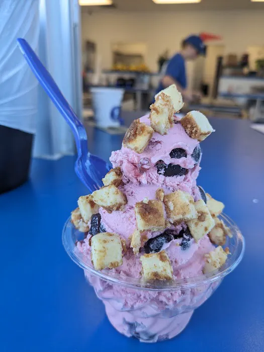 Handel's Ice Cream Picture 5