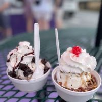 Mason Whippy Dip ico