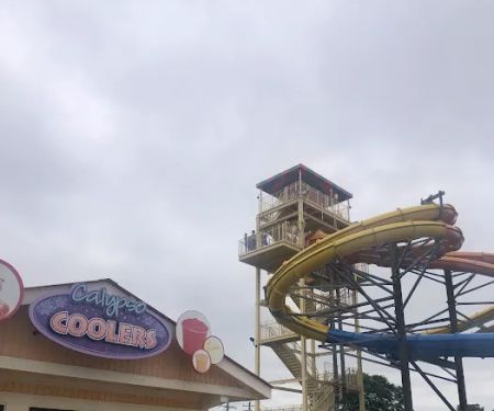 Calypso Coolers