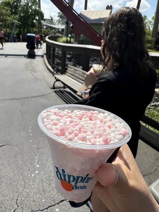 Dippin Dots Picture 6