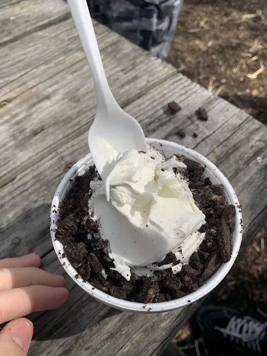 Flub's Ice Cream Picture 4