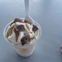 The Dip Ice Cream and More ico