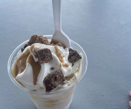The Dip Ice Cream and More