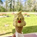 Big Star Scoops 'N' Treats