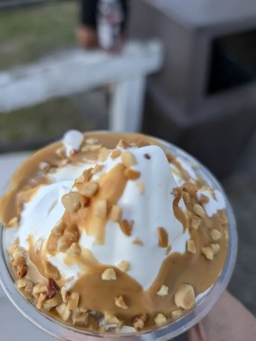 Laney's Scoops Picture 1