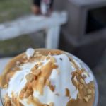 Laney's Scoops
