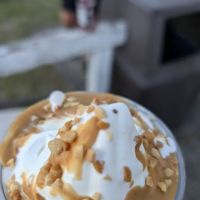 Laney's Scoops ico