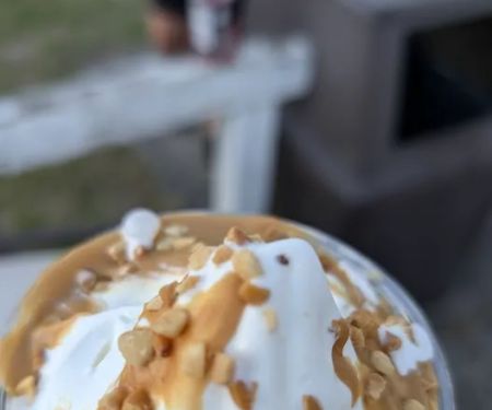 Laney's Scoops