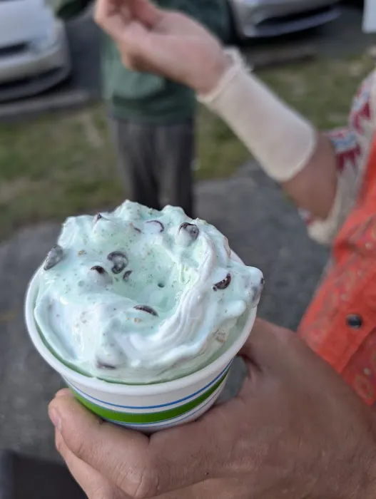 Laney's Scoops Picture 4