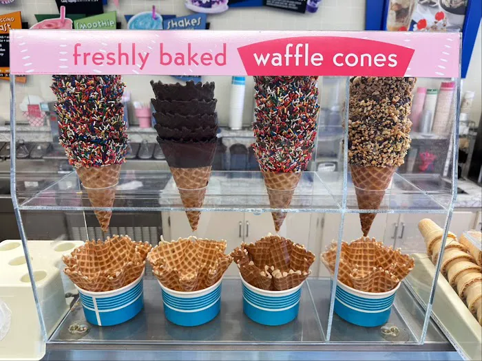 48 Flavors Ice Cream Picture 1