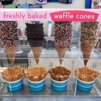 48 Flavors Ice Cream ico