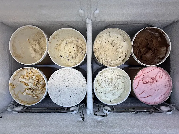 48 Flavors Ice Cream Picture 3