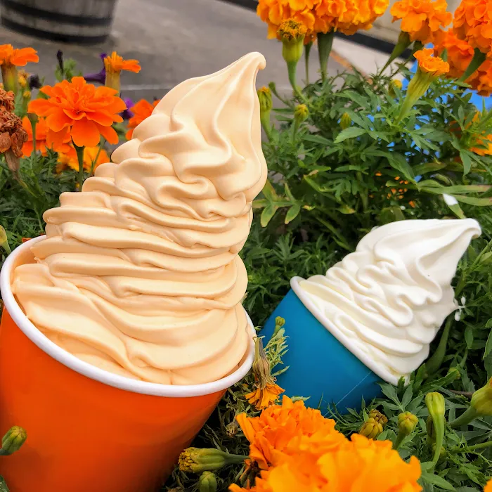 Custard Corner Picture 10