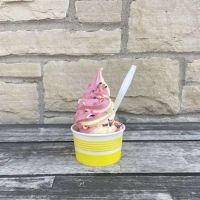 G Scoops ico