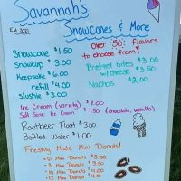 Savannah's Snow Cones & More ico