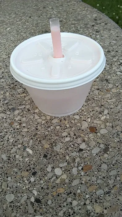 Ice Cream Shack of Sunnyland Picture 8