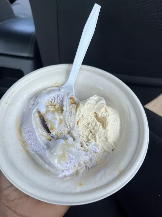 Here's The Scoop Picture 5