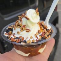 Tip Top Ice Cream Shop ico