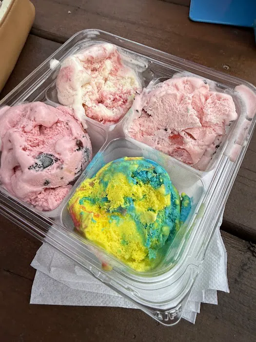 Tip Top Ice Cream Shop Picture 3
