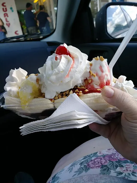 Curly Cone Picture 3