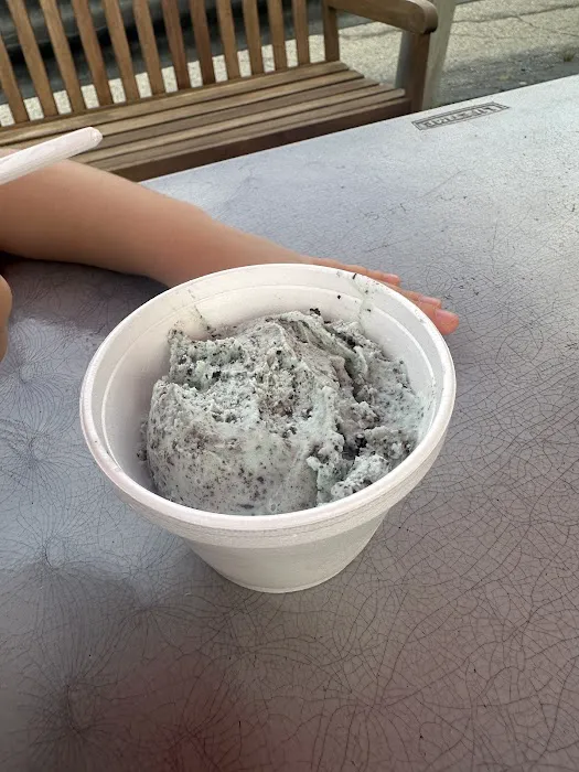 Ziggy's Ice Cream of Grand Blanc Picture 4