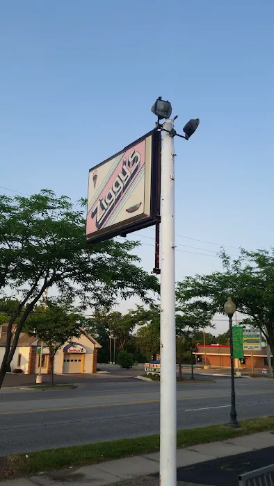 Ziggy's Ice Cream of Grand Blanc Picture 5