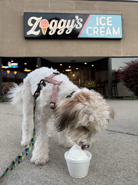 Ziggys Ice Cream of Fenton Picture 7