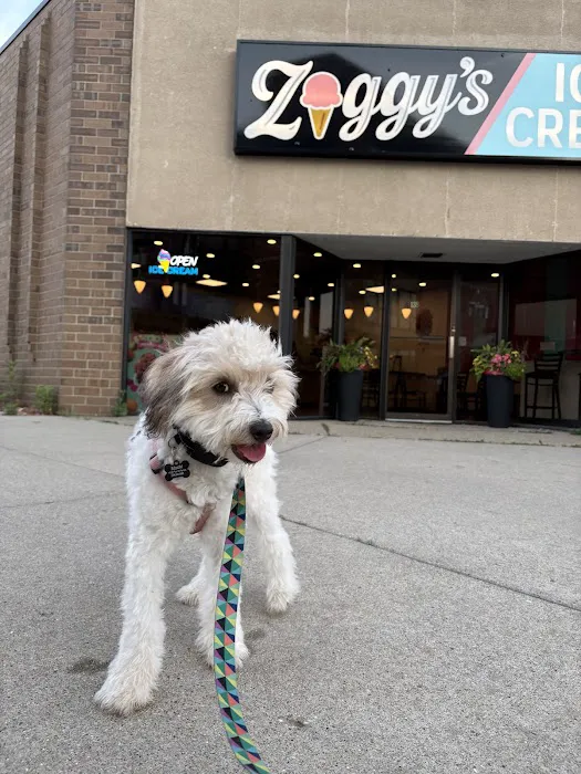 Ziggys Ice Cream of Fenton Picture 6
