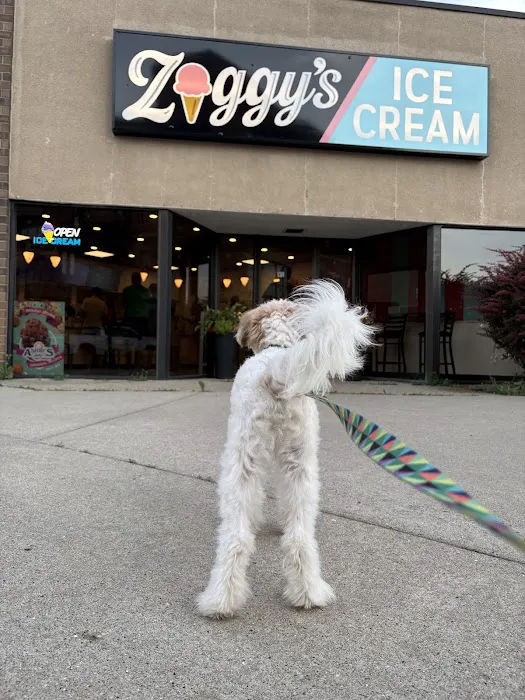 Ziggys Ice Cream of Fenton Picture 10