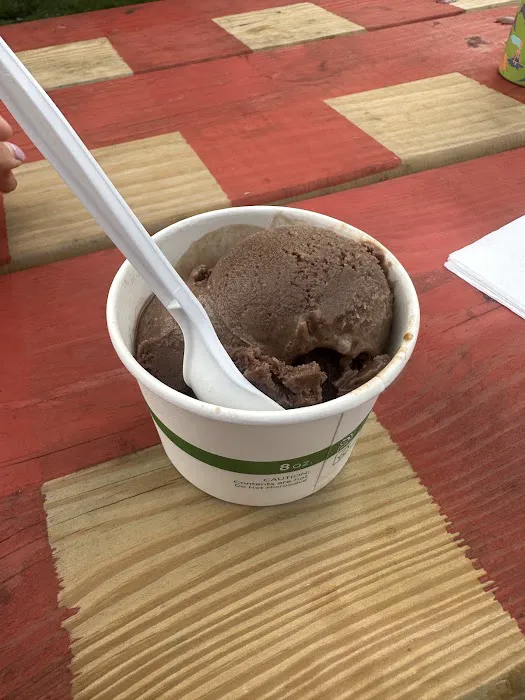 Pumphouse Custard Picture 1
