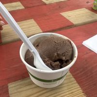 Pumphouse Custard ico