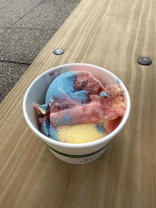 Pumphouse Custard Picture 9
