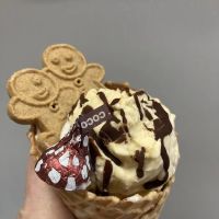 Ziggy's Ice Cream of Holly ico
