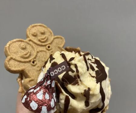 Ziggy's Ice Cream of Holly