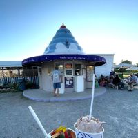 Purple Parrot Ice Cream Bar ico
