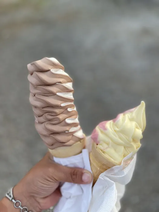 Purple Parrot Ice Cream Bar Picture 5