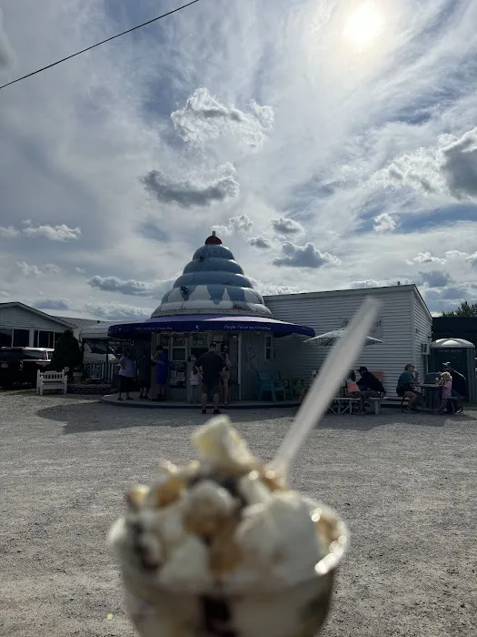 Purple Parrot Ice Cream Bar Picture 10
