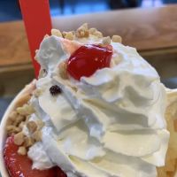 Lisa's Ice Cream and Donuts ico