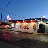 Cobbs Drive-In ico
