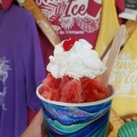Hawaii Ice Limited ico