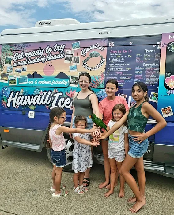Hawaii Ice Limited Picture 10